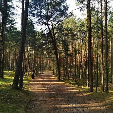 M&k Slomkowe Kapelusze - Sobieszewo, Wyspa Sobieszewska Appartement Gdańsk
