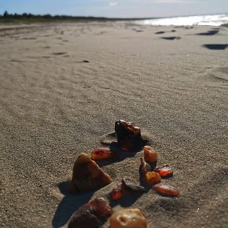 M&k Slomkowe Kapelusze - Sobieszewo, Wyspa Sobieszewska Apartment