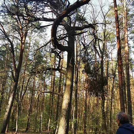 M&k Slomkowe Kapelusze - Sobieszewo, Wyspa Sobieszewska グダニスク