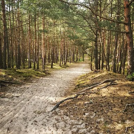 M&k Slomkowe Kapelusze - Sobieszewo, Wyspa Sobieszewska