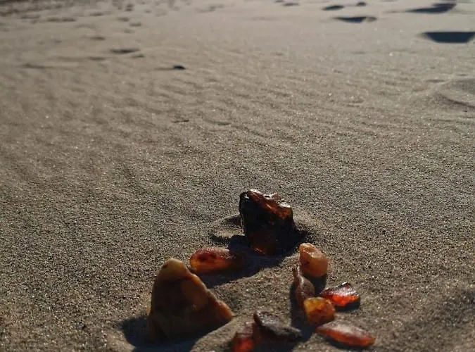 M&k Slomkowe Kapelusze - Sobieszewo, Wyspa Sobieszewska Apartman