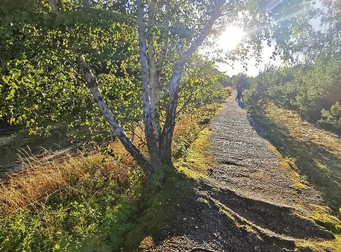 M&k Slomkowe Kapelusze - Sobieszewo, Wyspa Sobieszewska *