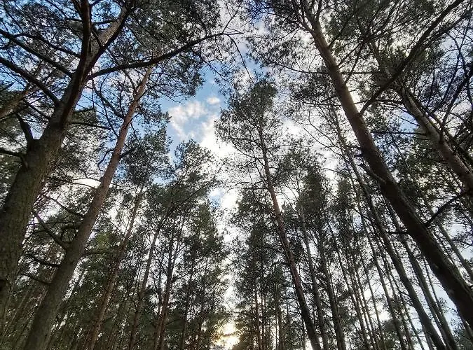 M&k Slomkowe Kapelusze - Sobieszewo, Wyspa Sobieszewska Gdańsk