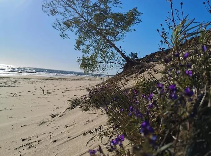 M&k Slomkowe Kapelusze - Sobieszewo, Wyspa Sobieszewska Gdańsk