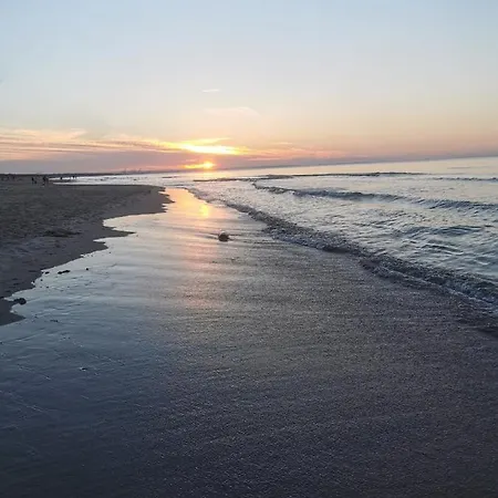 M&k Slomkowe Kapelusze - Sobieszewo, Wyspa Sobieszewska Daire