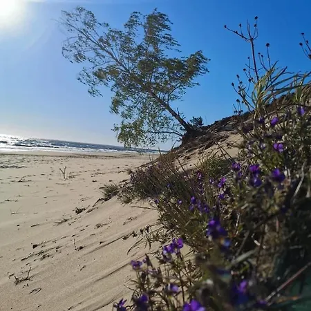 M&k Slomkowe Kapelusze - Sobieszewo, Wyspa Sobieszewska Gdansk