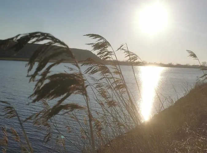 M&k Slomkowe Kapelusze - Sobieszewo, Wyspa Sobieszewska Gdańsk