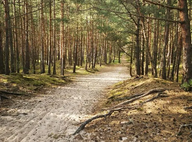 M&k Slomkowe Kapelusze - Sobieszewo, Wyspa Sobieszewska