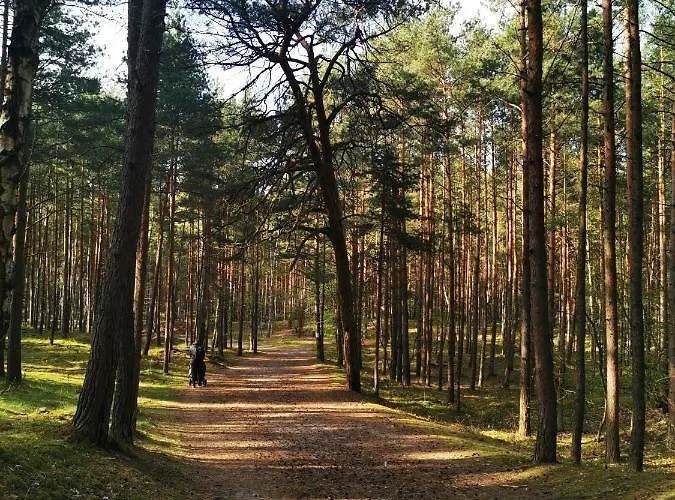 M&k Slomkowe Kapelusze - Sobieszewo, Wyspa Sobieszewska Apartamento Gdańsk